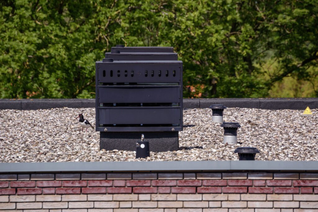 rijpwet hertogsweg 2534